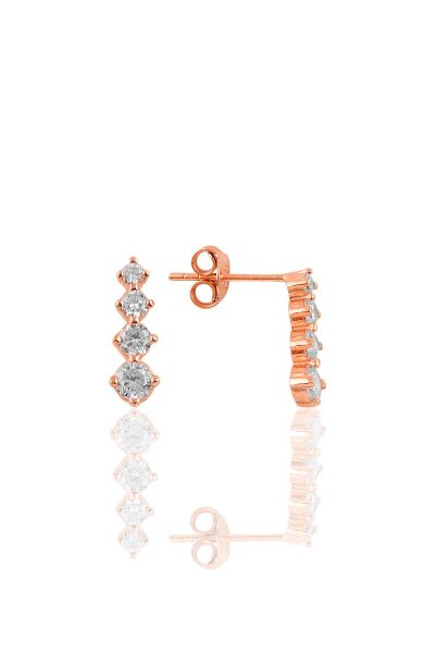 Gümüş rose zirkon taşlı  ışıltılı ikili set SGTL10956ROSE