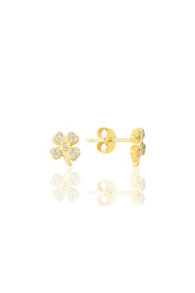 Gümüş altın yaldızlı şansın ışıltısı yonca küpe SGTL12627GOLD
