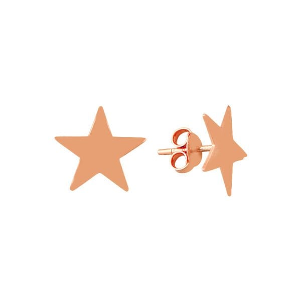 yıldız küpe SGTL7548