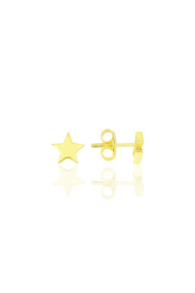 Gümüş  altın yaldızlı  üç boyutlu yıldız küpe SGTL11711GOLD