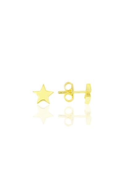 Gümüş  altın yaldızlı  üç boyutlu yıldız küpe SGTL11711GOLD