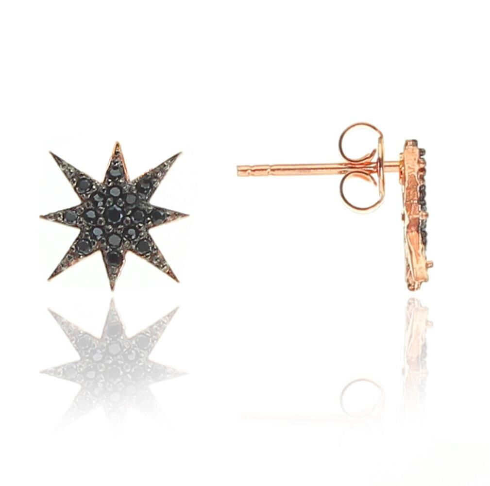 Gümüş siyah kutup yıldızı modeli küpe SGTL10783SYH