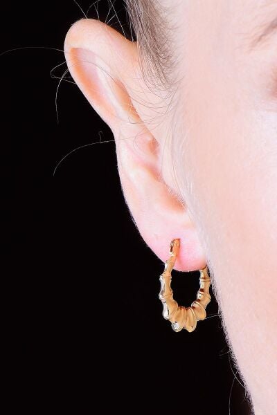 Gümüş altın yaldızlı tırtıl şarnel küpe