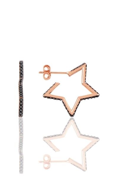 Gümüş star küpe SGTL10820SYH