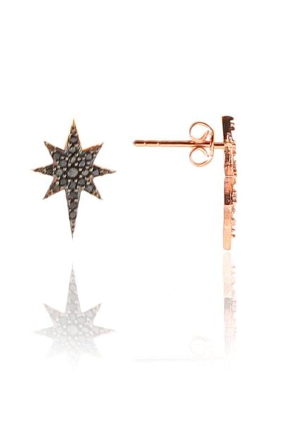 Gümüş siyah taşlı kutup yıldızı küpe SGTL9158