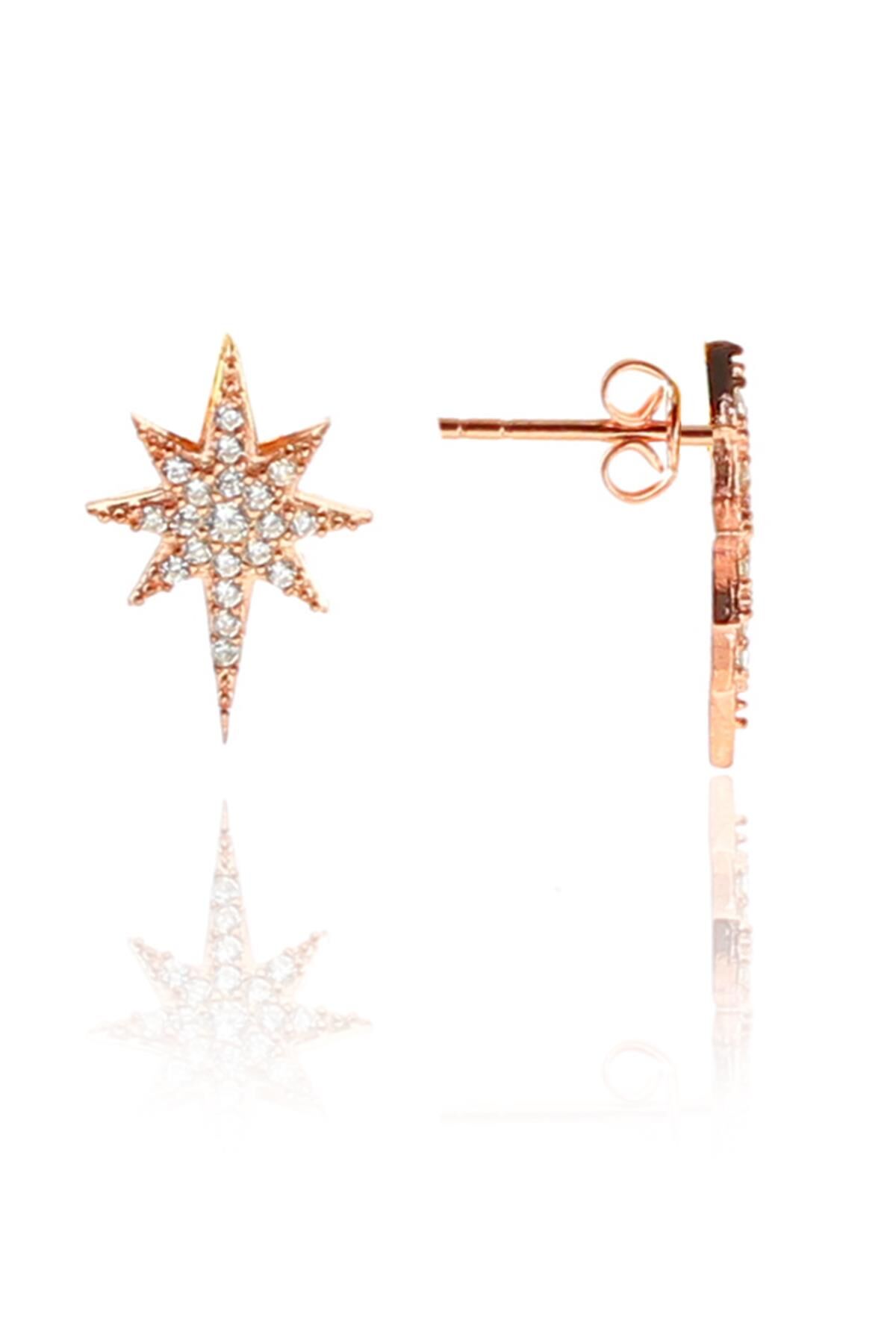 Gümüş zirkon taşlı kutup yıldızı küpe SGTL9159