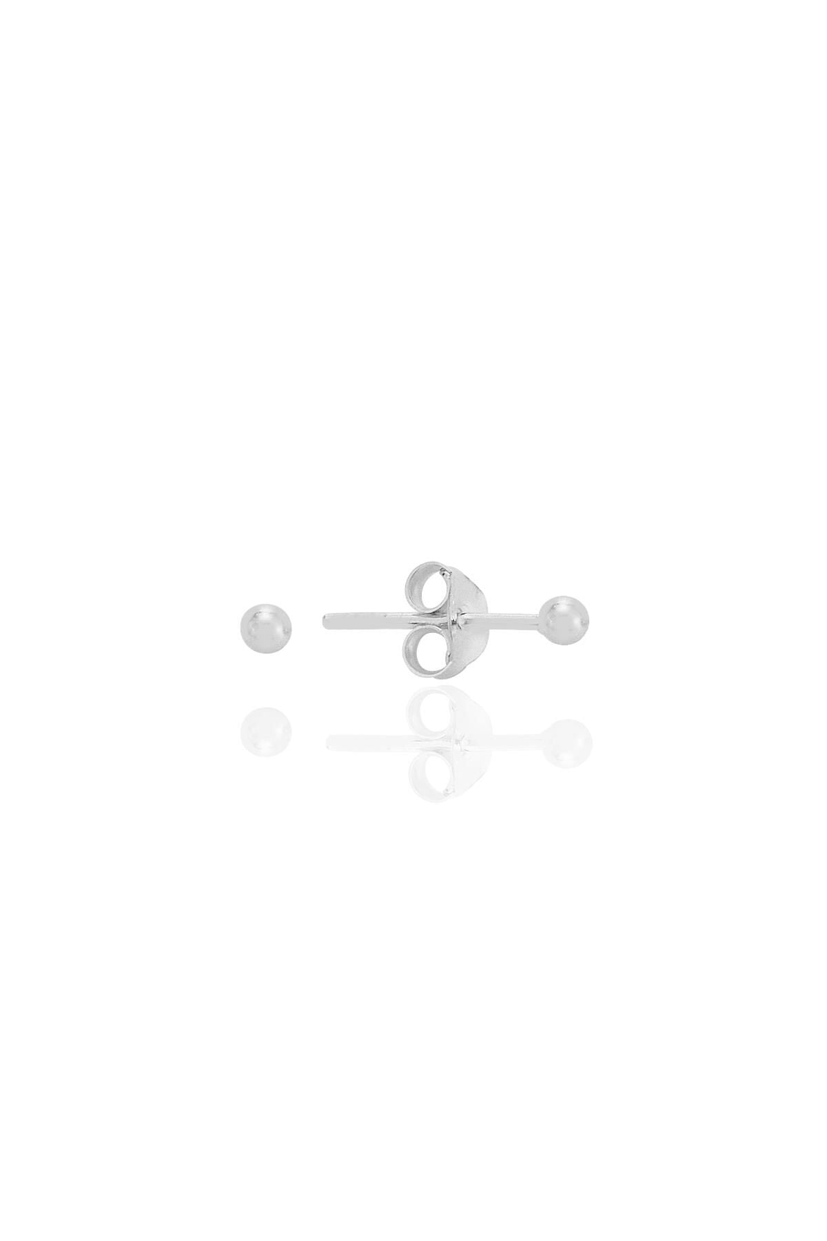 Gümüş 2 mm gümüş top küpe SGTL12811RODAJ