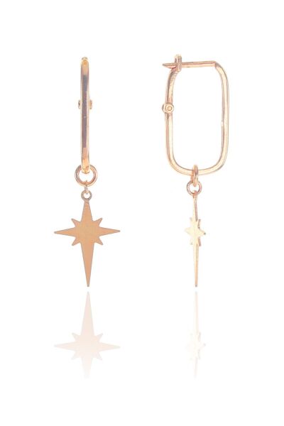 Gümüş rose kutup yıldızı göçmen küpe SGTL8946