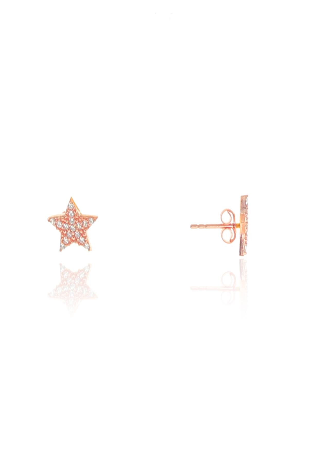 Gümüş rose zirkon taşlı yıldız küpe SGTL8965