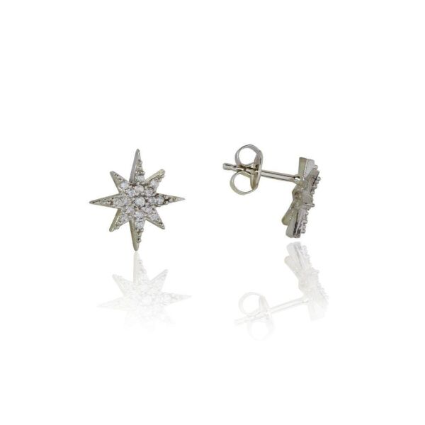 mini kutupyıldızı küpe SGTL4068