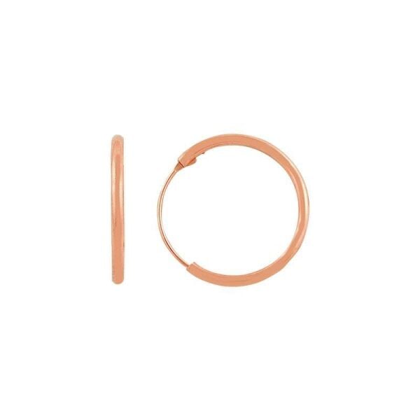 rose halka küpe SGTL7314